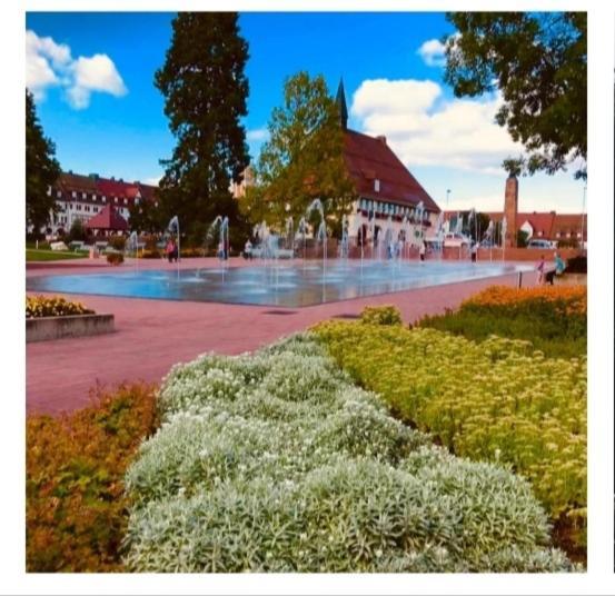 Lieblingsort Apartment Freudenstadt Exterior photo